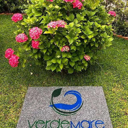 Verdemare * カメロータ